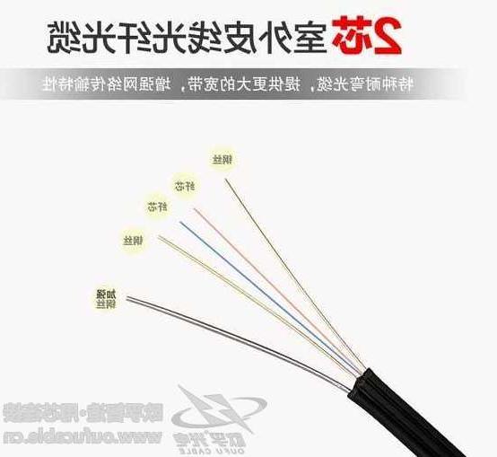 2芯室外皮线光纤光缆