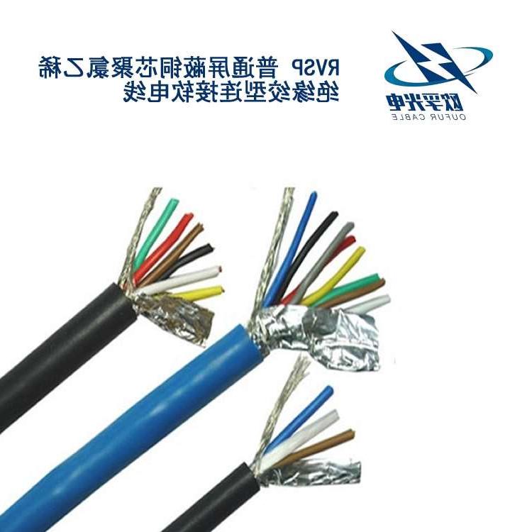 渝北区RVSP电缆