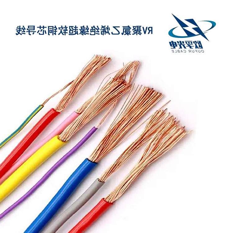 渝北区RV电线电缆
